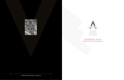 BUSINESS PLAN Executive Summary