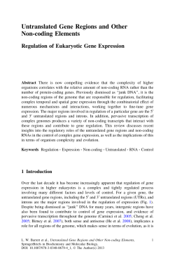 Untranslated Gene Regions and Other Non