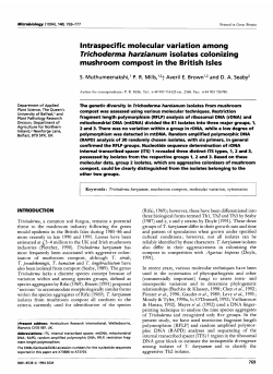lntraspecif ic molecular variation among Trichoderma