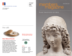 2010 Issue #5 - Flint Institute of Arts