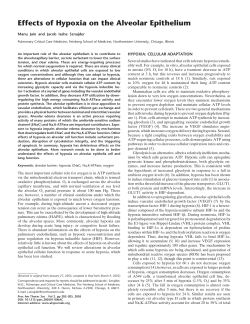 Effects of Hypoxia on the Alveolar Epithelium