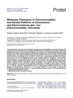 Cercomonadida, Cercozoa