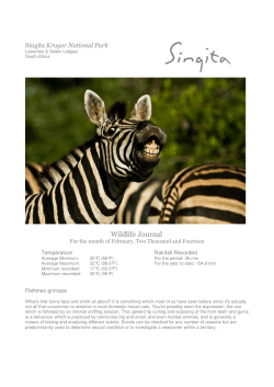 Singita Kruger National Park Wildlife Report February 2014