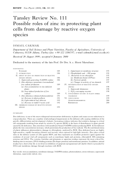 Tansley Review No. 111 Possible roles of zinc in protecting plant
