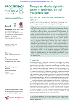Photosynthetic circadian rhythmicity patterns of Symbiodium, the