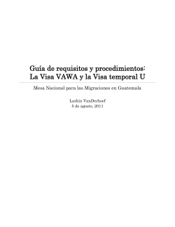 Gu&iacute;a de requisitos y procedimientos: La Visa VAWA
