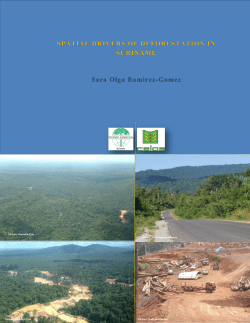 spatial drivers of deforestation in suriname
