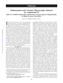 Inflammation and Vascular Hypertrophy Induced by Angiotensin II