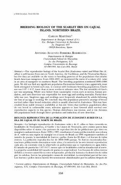 breeding biology of the scarlet ibis on cajual island