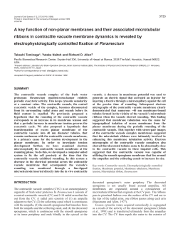 Membrane dynamics of the contractile vacuole
