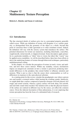 Multisensory Texture Perception