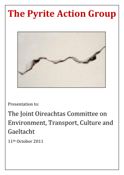 The Pyrite Action Group - Houses of the Oireachtas
