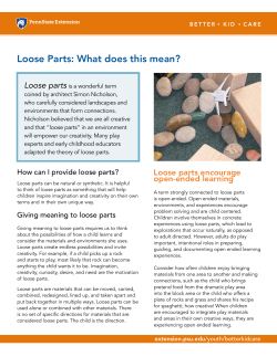 Loose Parts: What does this mean?