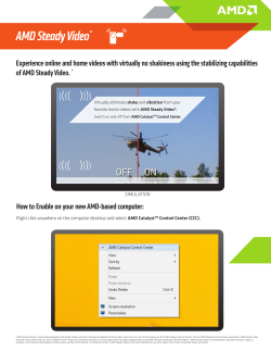 AMD Steady Video*