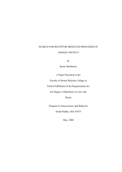 Search for Receptor Mediated Process in Amoeba proteus