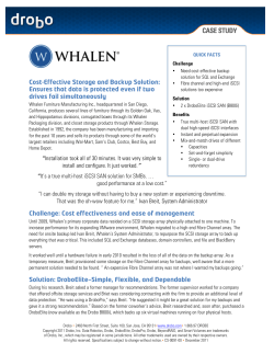 Cost-Effective Storage and Backup Solution: Ensures that