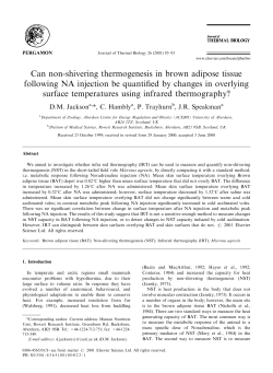 Can non-shivering thermogenesis in brown adipose tissue following