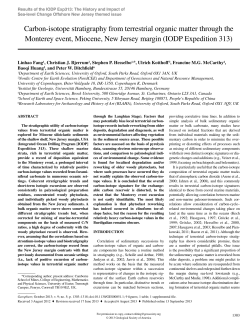 Carbon-isotope stratigraphy from terrestrial organic