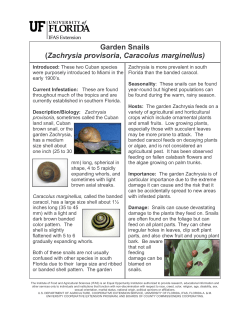 Garden Snails - Tropical Research and Education Center