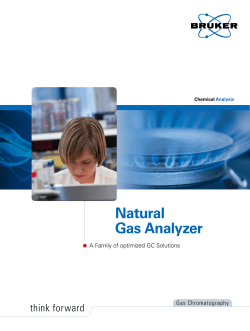 Natural Gas Analyzer