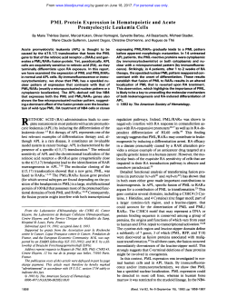 PML Protein Expression in Hematopoietic and Acute