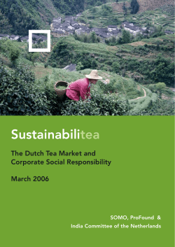 Sustainabilitea The Dutch Tea Market and Corporate Social