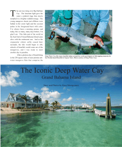 The Iconic Deep Water Cay