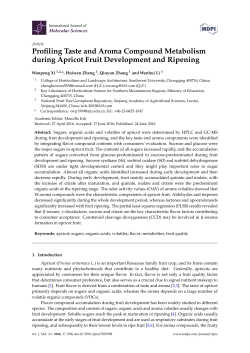 Profiling Taste and Aroma Compound Metabolism during Apricot