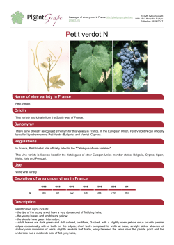 Export PDF - Pl@ntgrape