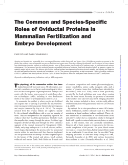 The Common and Species-Specific Roles of