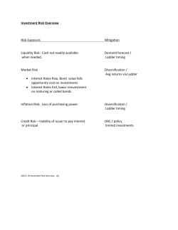 Investment Risk Overview Risk Exposure Mitigation Liquidity Risk