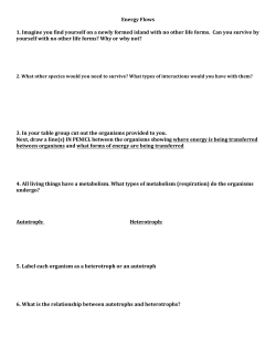 Energy Flows 1. Imagine you find yourself on a newly formed island