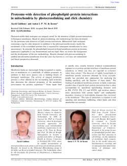 Proteome-wide detection of phospholipid–protein interactions in