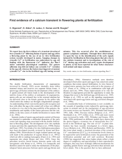 First evidence of a calcium transient in flowering plants at fertilization