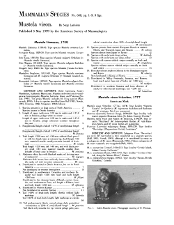 Mustela VISOn. - Oxford Academic