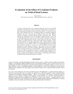 Evaluation of the Effect of Cytokinin Products on Yield of Head Lettuce