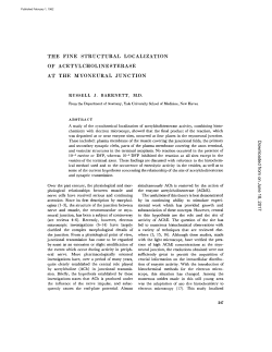 the fine structural localization of acetylcholinesterase at the