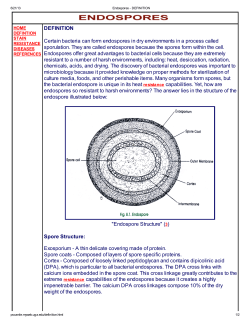 DEFINITION Certain bacteria can form endospores in dry