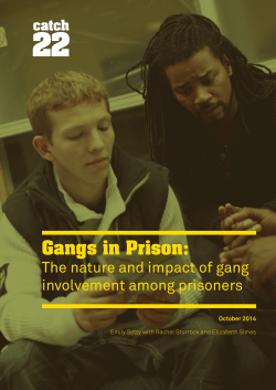 Gangs in Prison