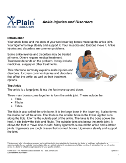 Ankle Injuries and Disorders - Patient Education Institute