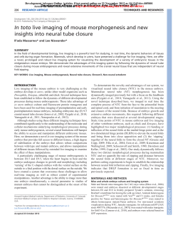 In toto live imaging of mouse morphogenesis and