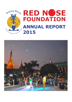 RED N SE - Red Nose Foundation