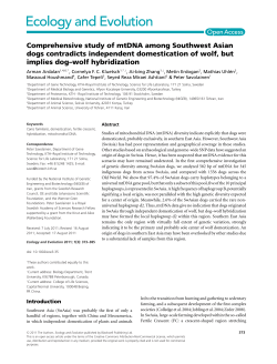 Comprehensive study of mtDNA among Southwest Asian dogs