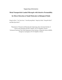 Supporting Information Metal Nanoparticle