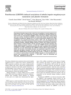 (LBH589)-induced acetylation of tubulin impairs