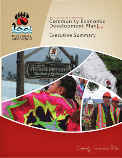 Community Economic Development Plan