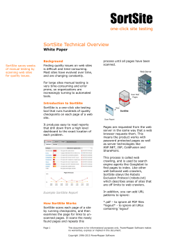 SortSite Technical Overview