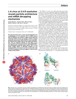 letters LA virus at 3.4 Å resolution reveals particle