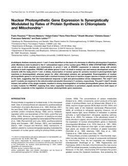 Nuclear Photosynthetic Gene Expression Is