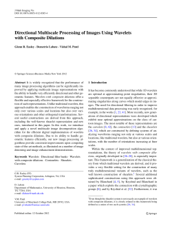 Directional Multiscale Processing of Images Using